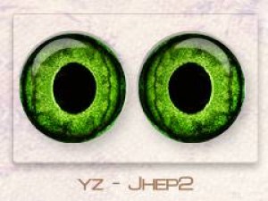 yz - Jhep2